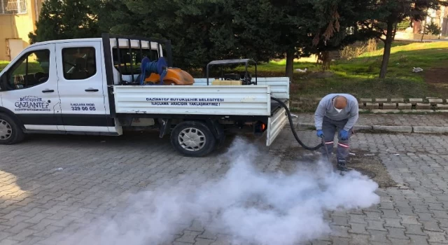 Gaziantep’te ilaçlama çalışmalarına hız verildi